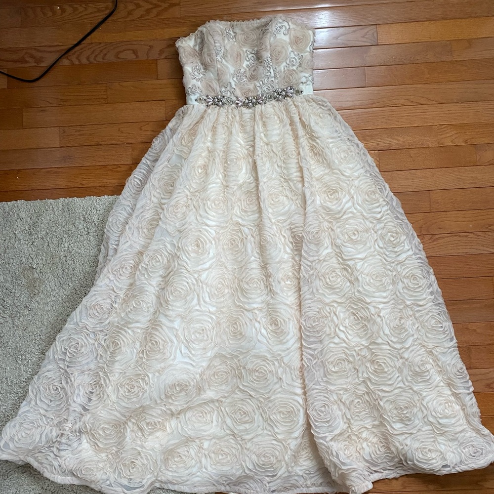 STUNNING worn once Adrianna Papell Gown